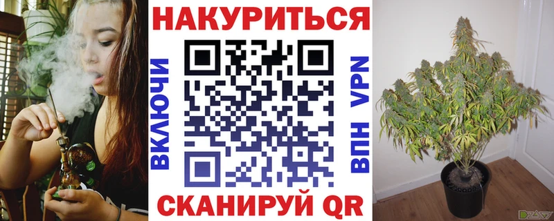 Купить  Бор  Шишки марихуана SATIVA & INDICA 